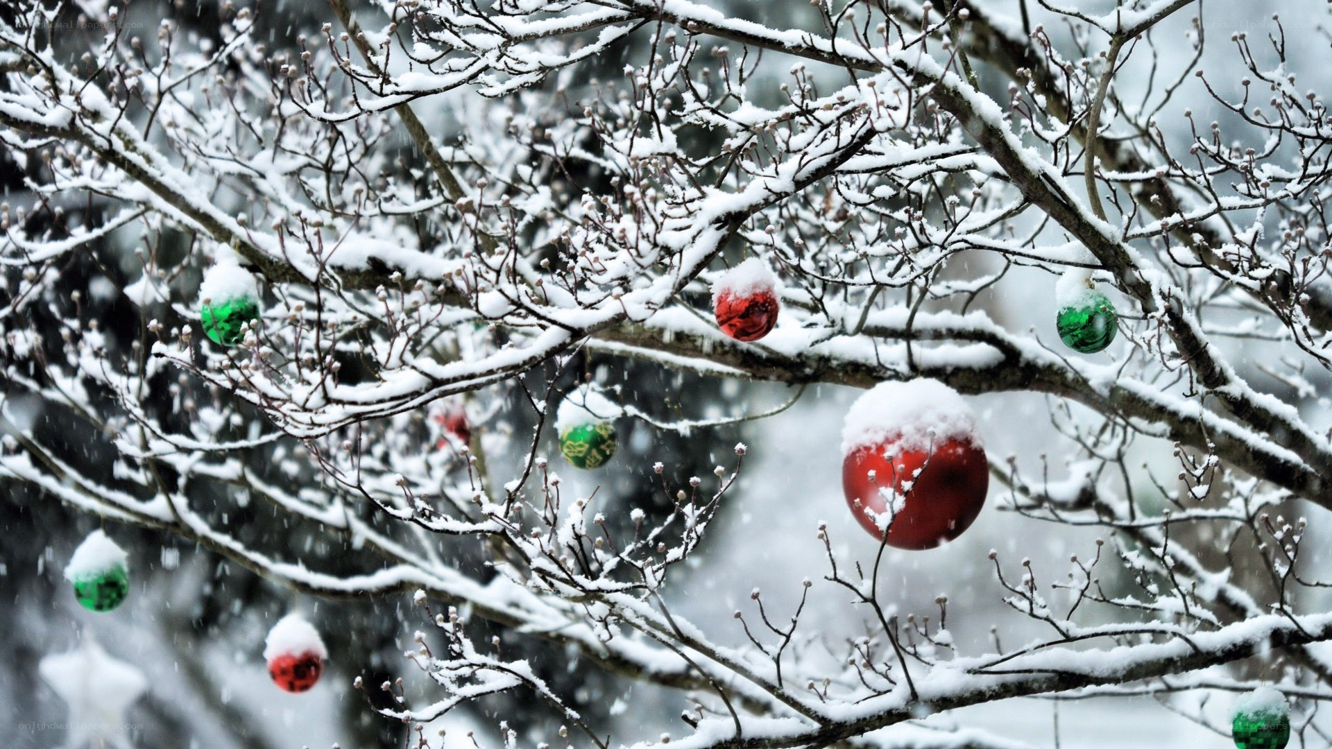 Snowy tree with ornaments