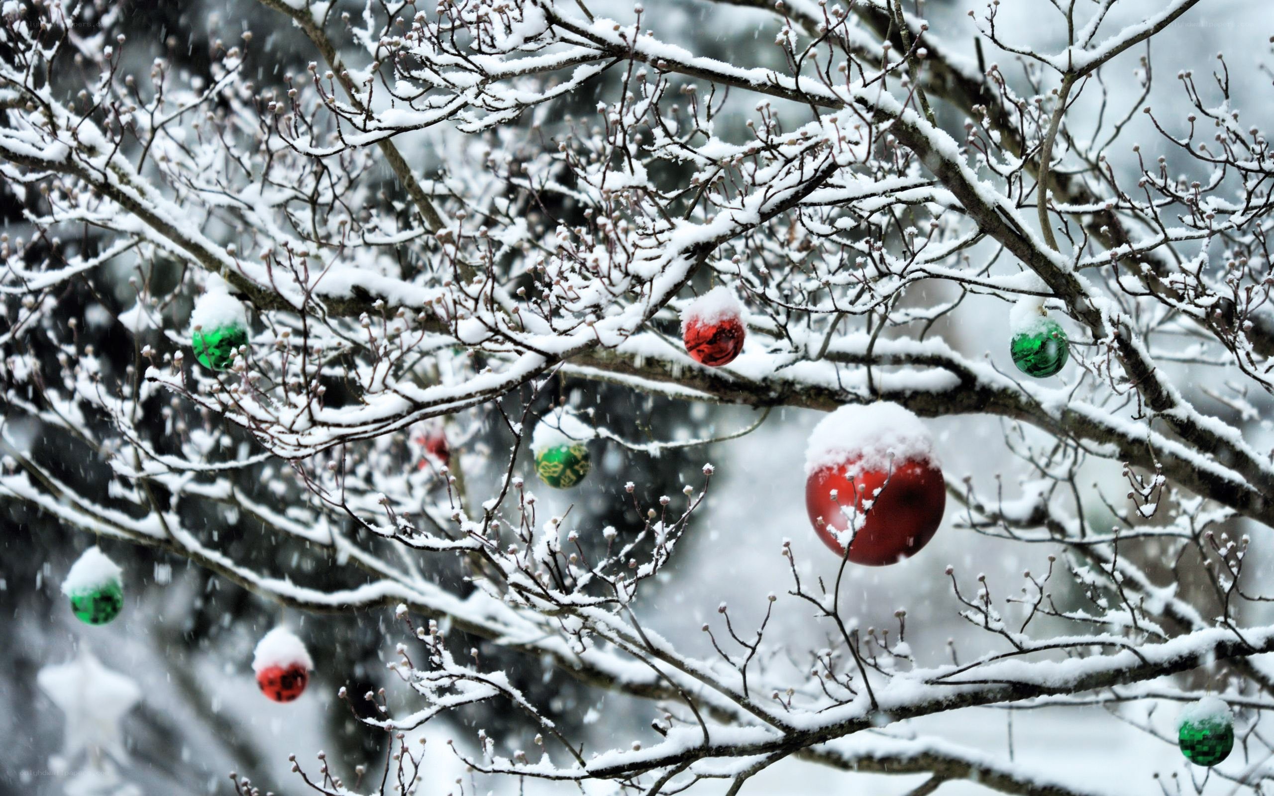 snowy tree with ornaments