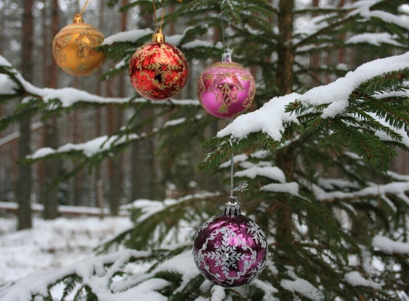 Snowy tree with ornaments