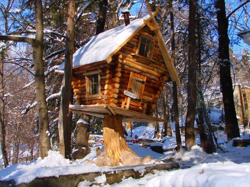 Snowy treehouse in forest