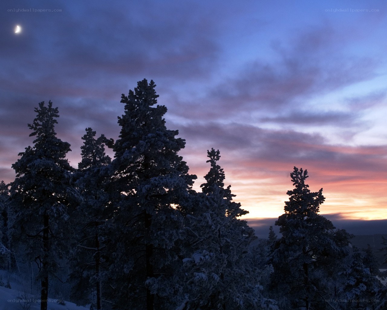 Snowy trees at dusk with crescent moon