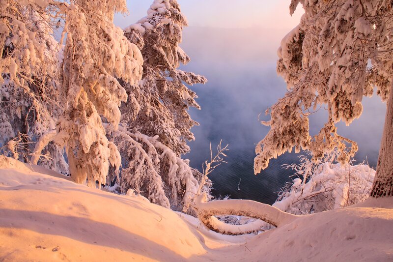 Snowy trees by a misty lake