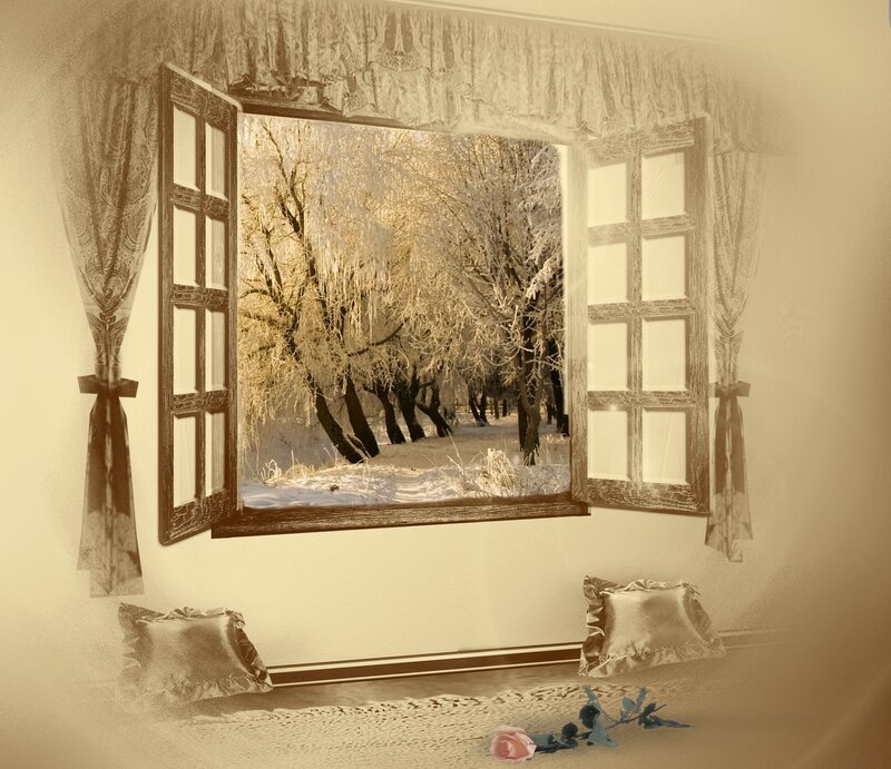 Snowy Trees Through Window