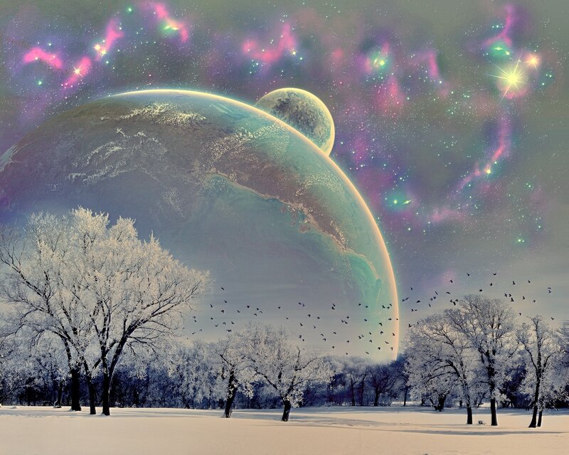 Snowy Trees under Alien Planets