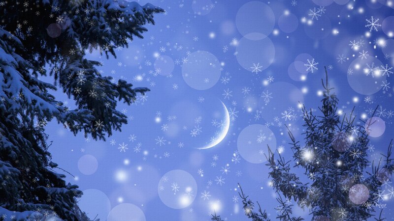 Snowy Trees under Moon