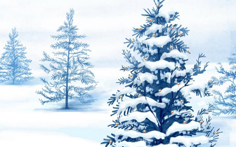 snowy trees with lights