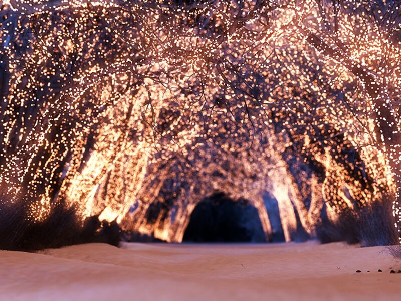 snowy tunnel of lights