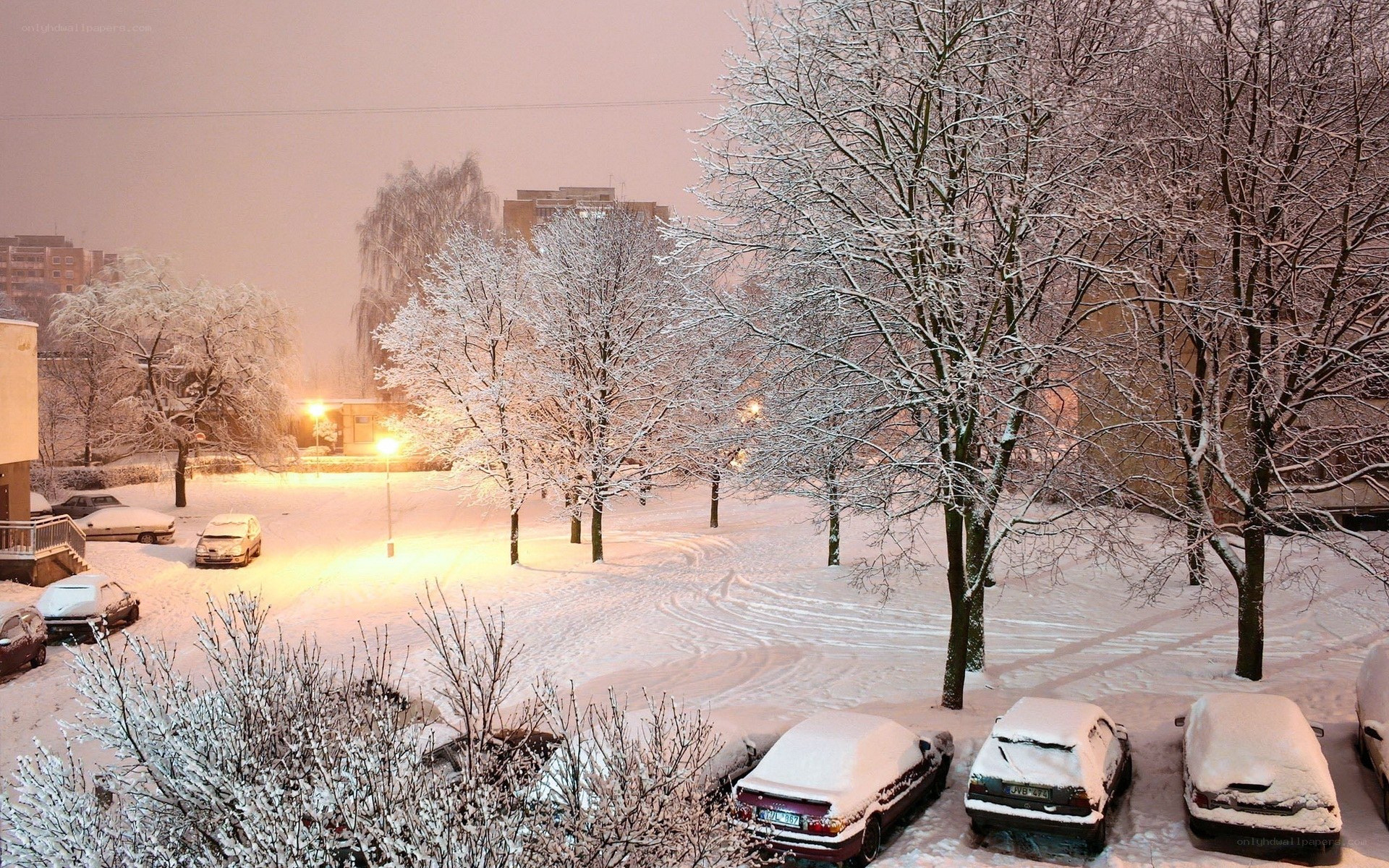 Snowy urban night scene