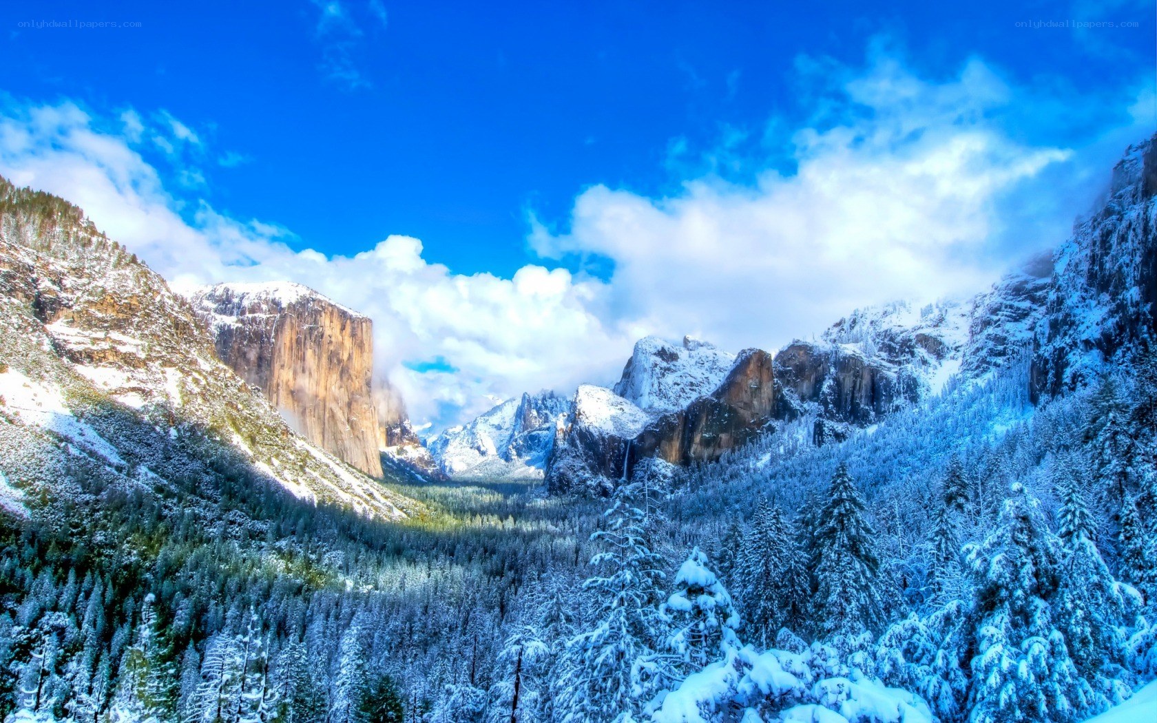 Snowy valley with forest and mountains