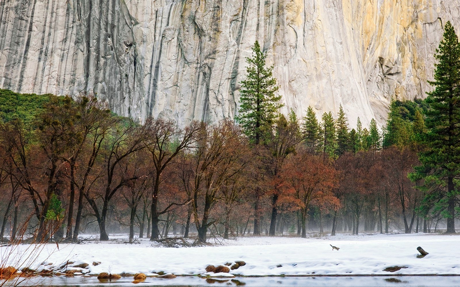 Snowy valley with rock wall