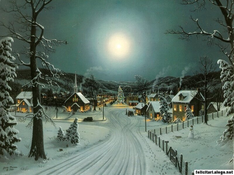 Snowy Village at Night