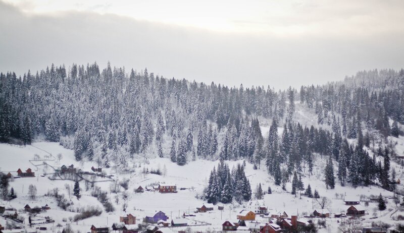 Snowy village in forested mountains