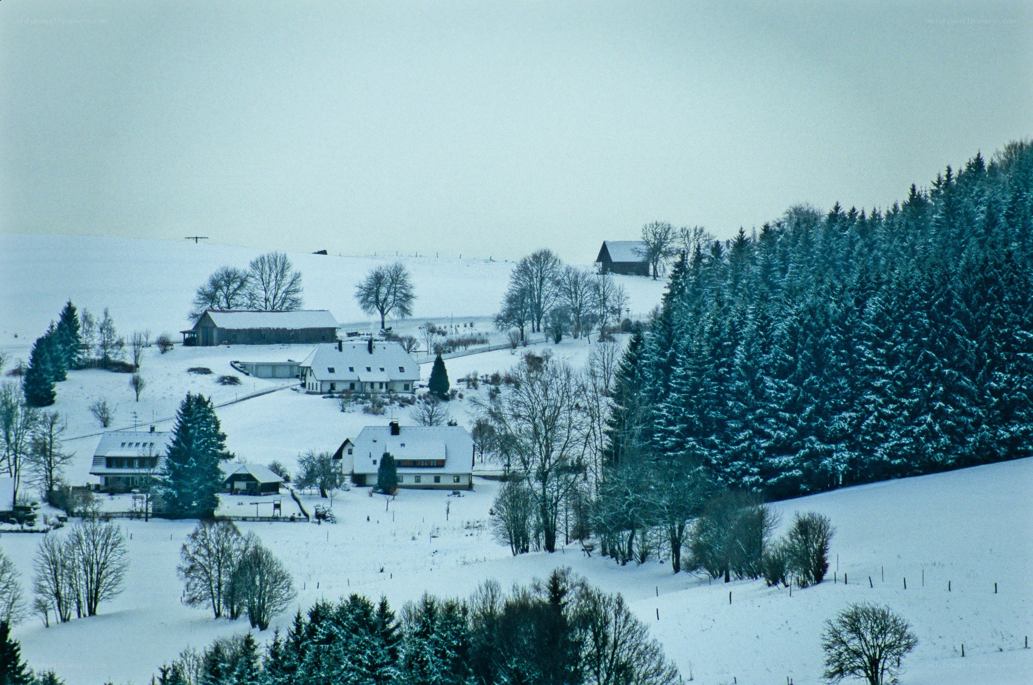 Snowy village in winter