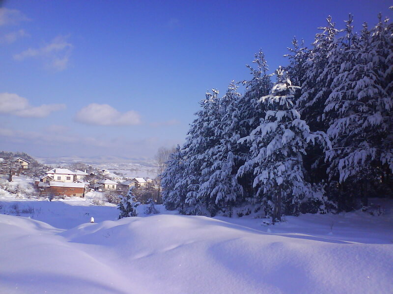 Snowy village in winter