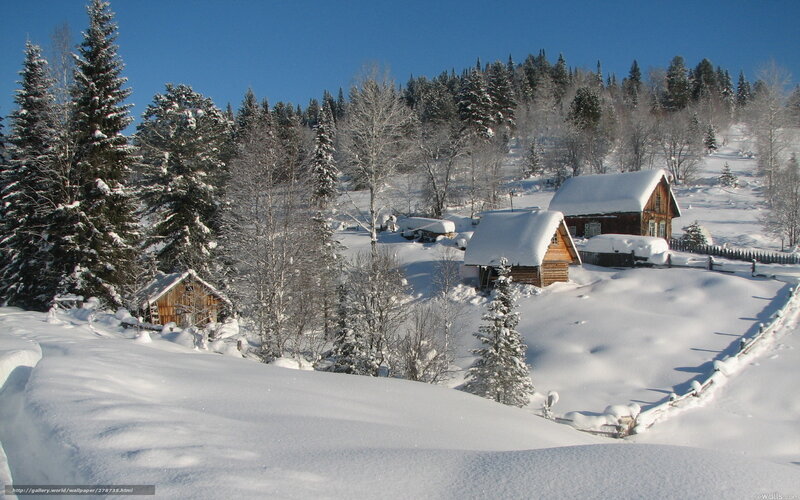 Snowy village in winter