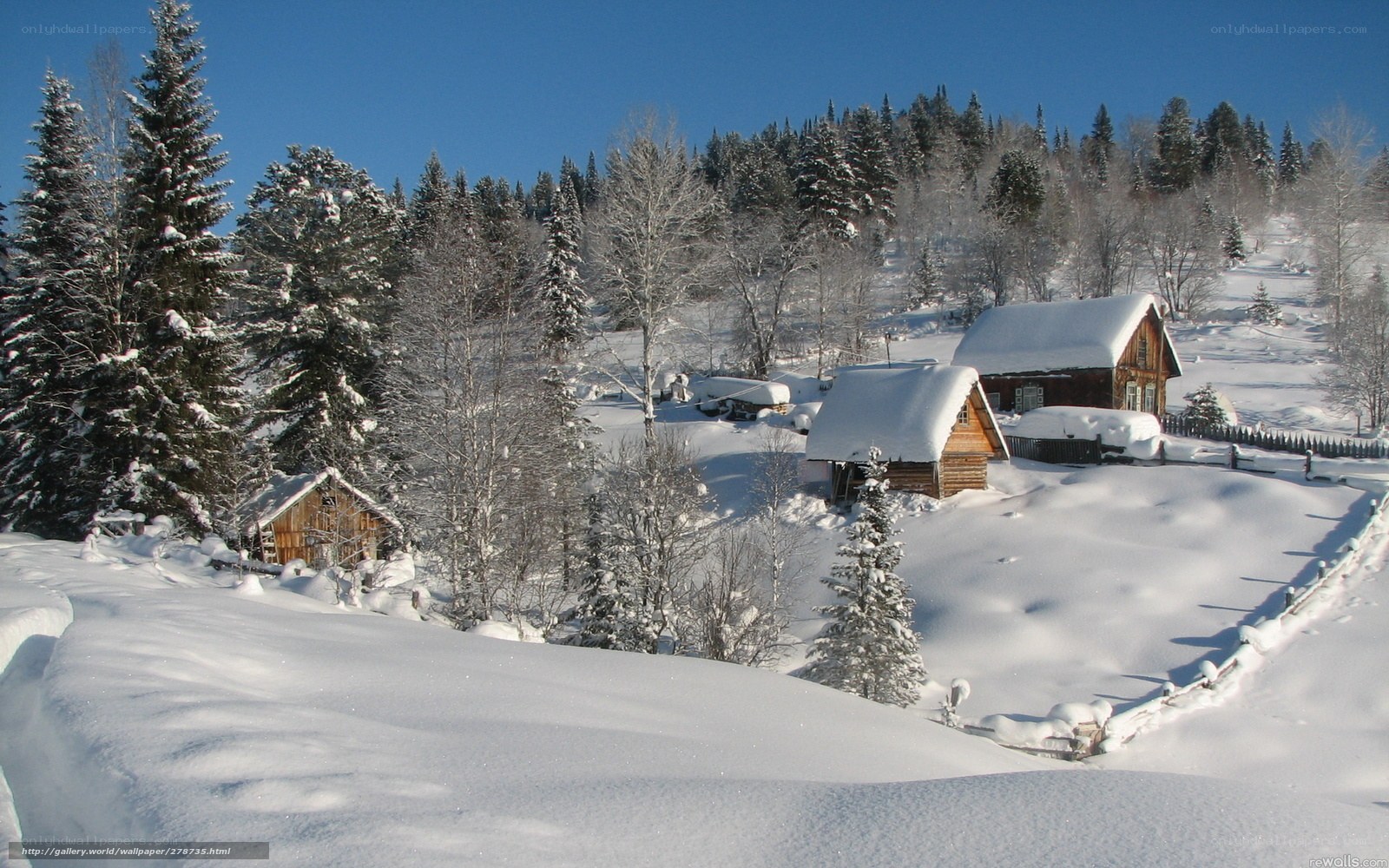 Snowy village in winter