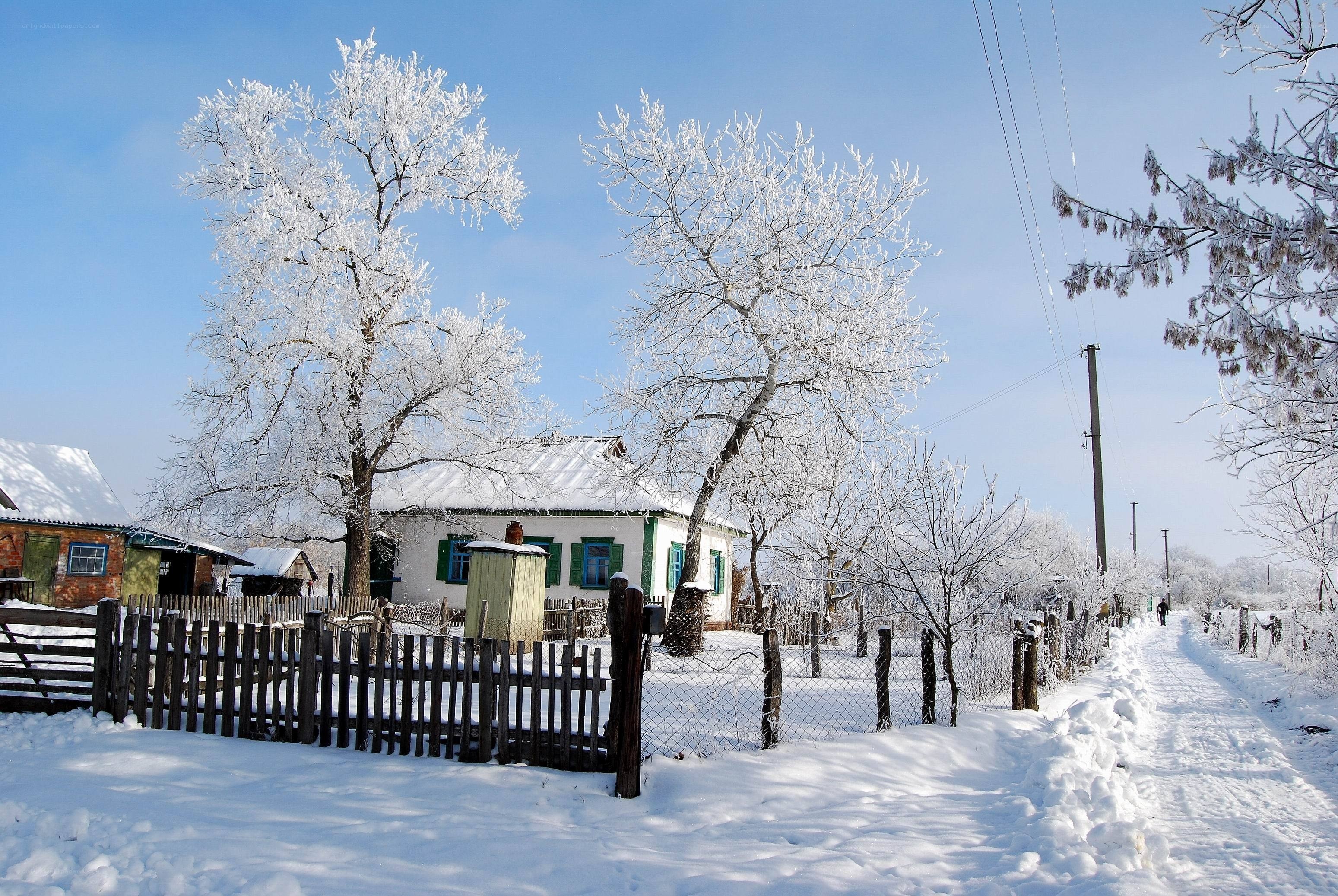 Snowy village in winter