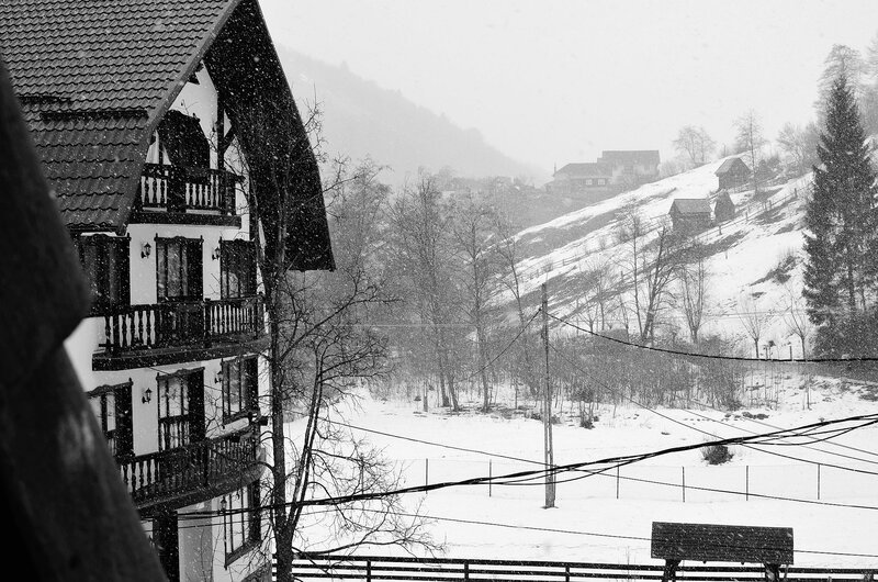 Snowy Village Scene — Black, Cold