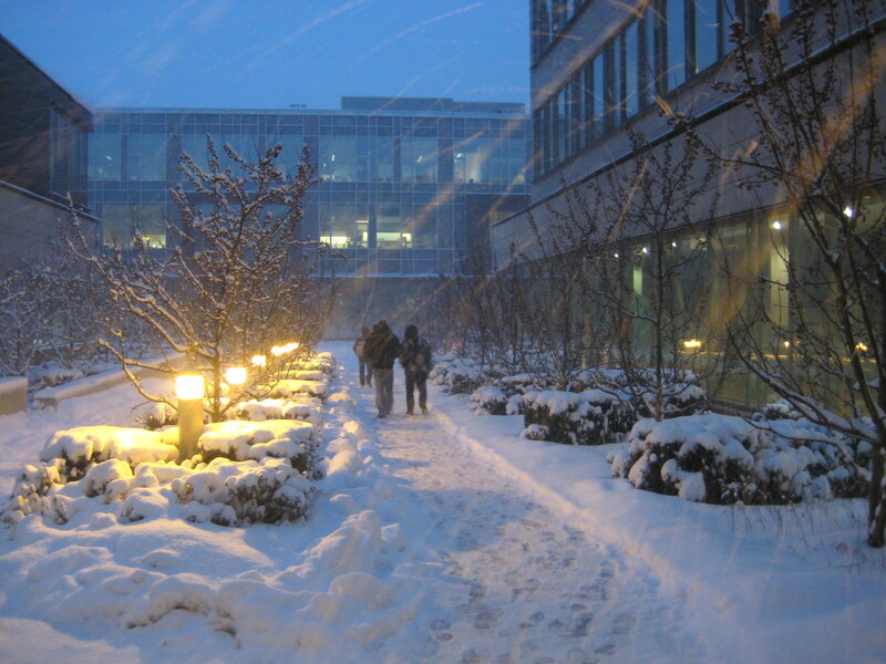 Snowy walk between buildings