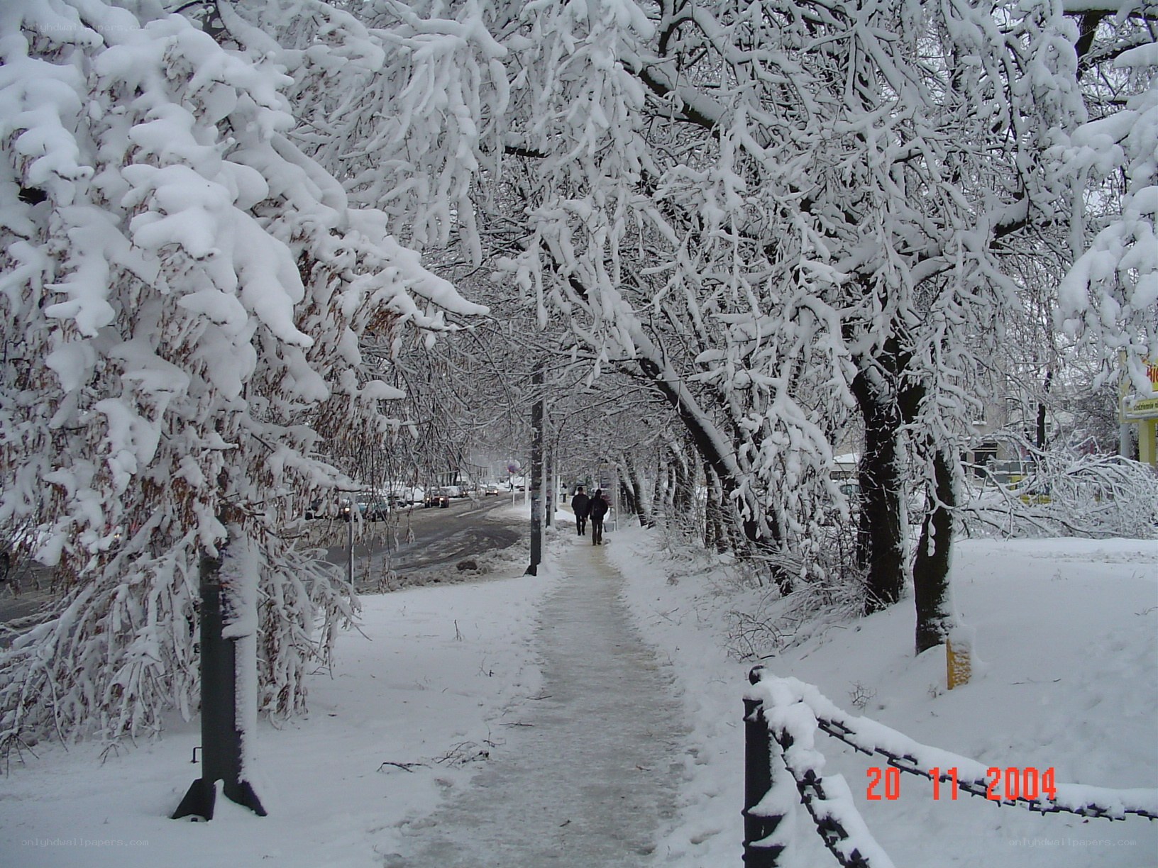 Snowy walkway in winter