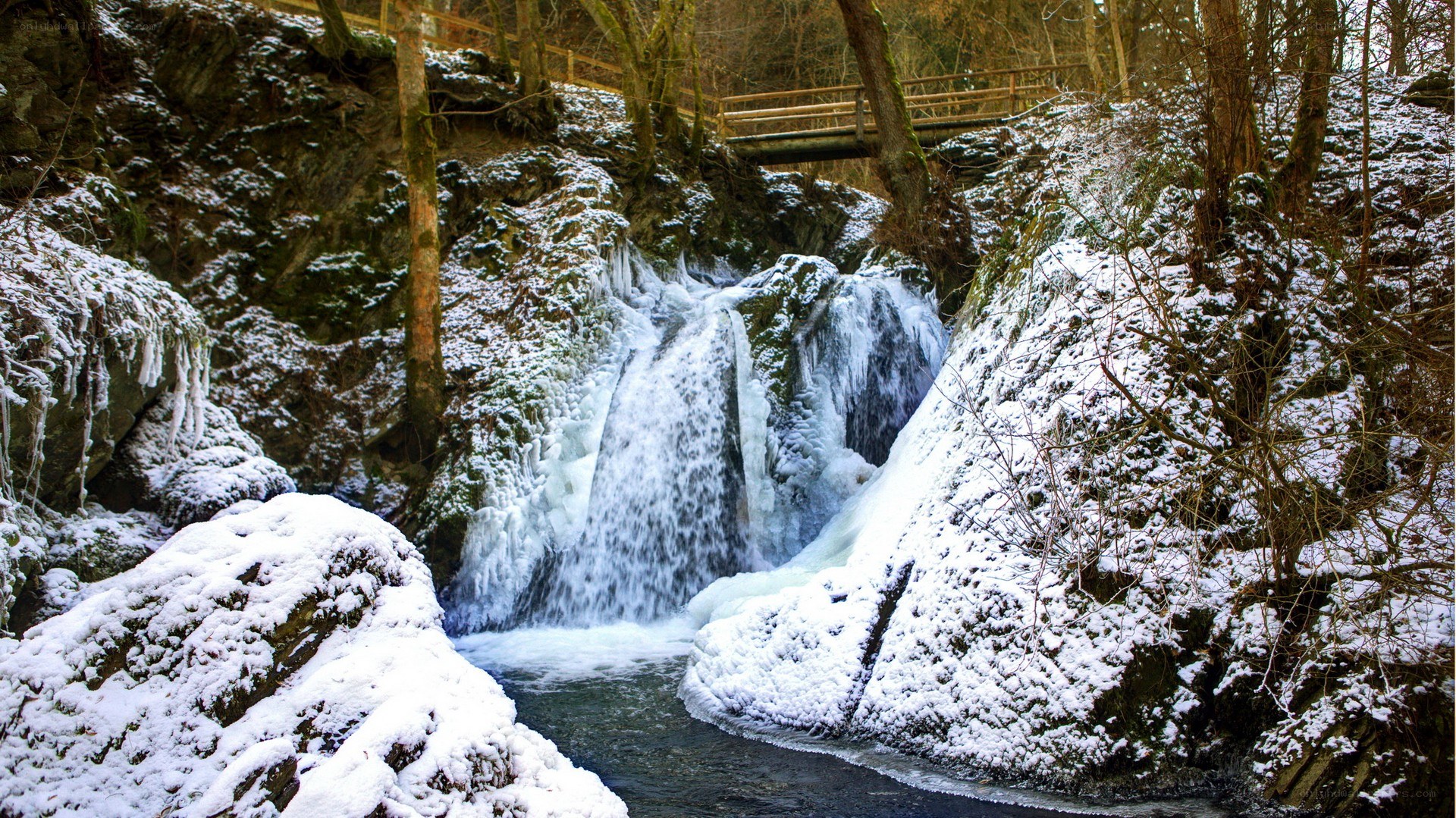 Snowy waterfall in a forest