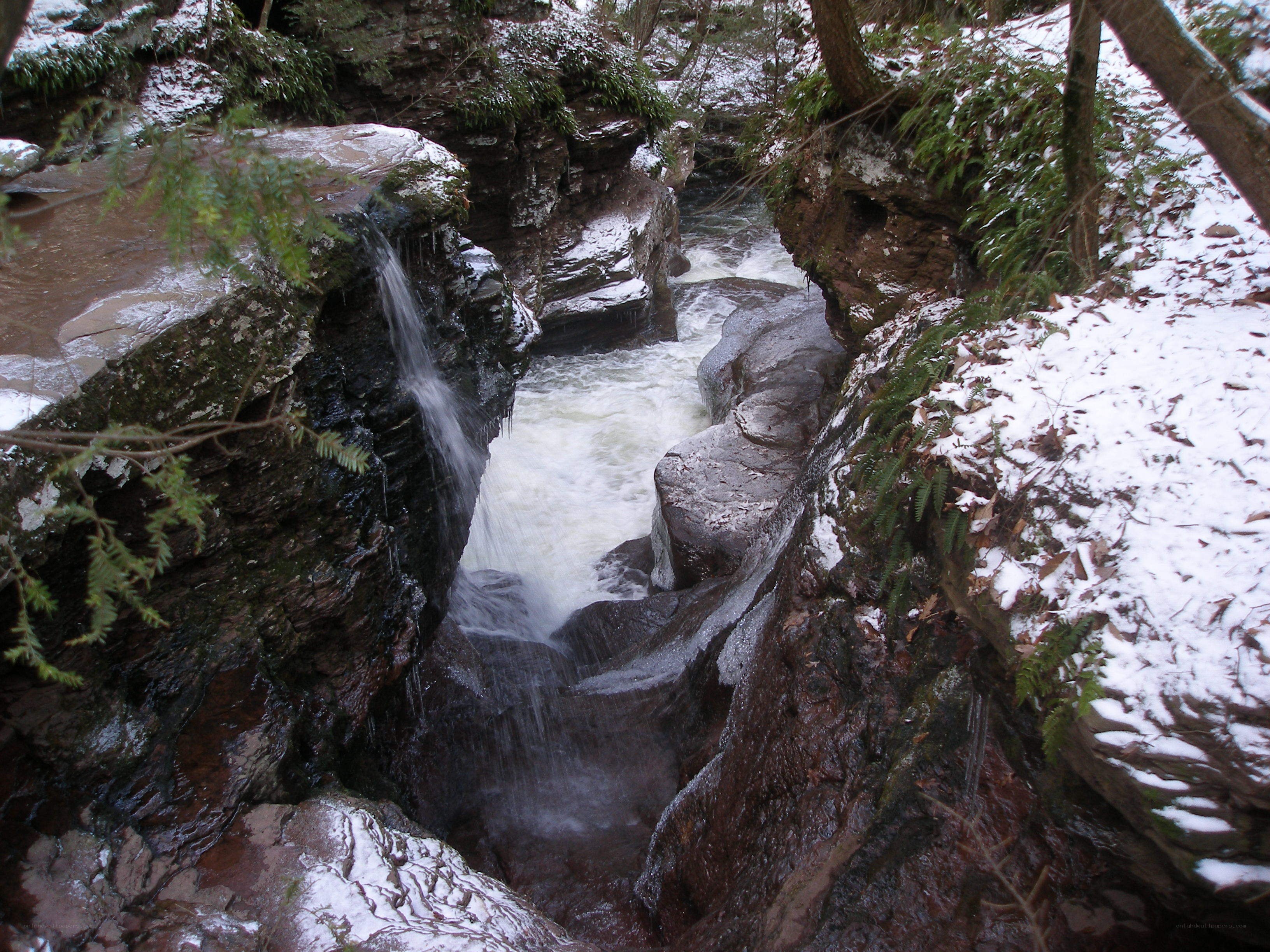 Snowy waterfall in a forest