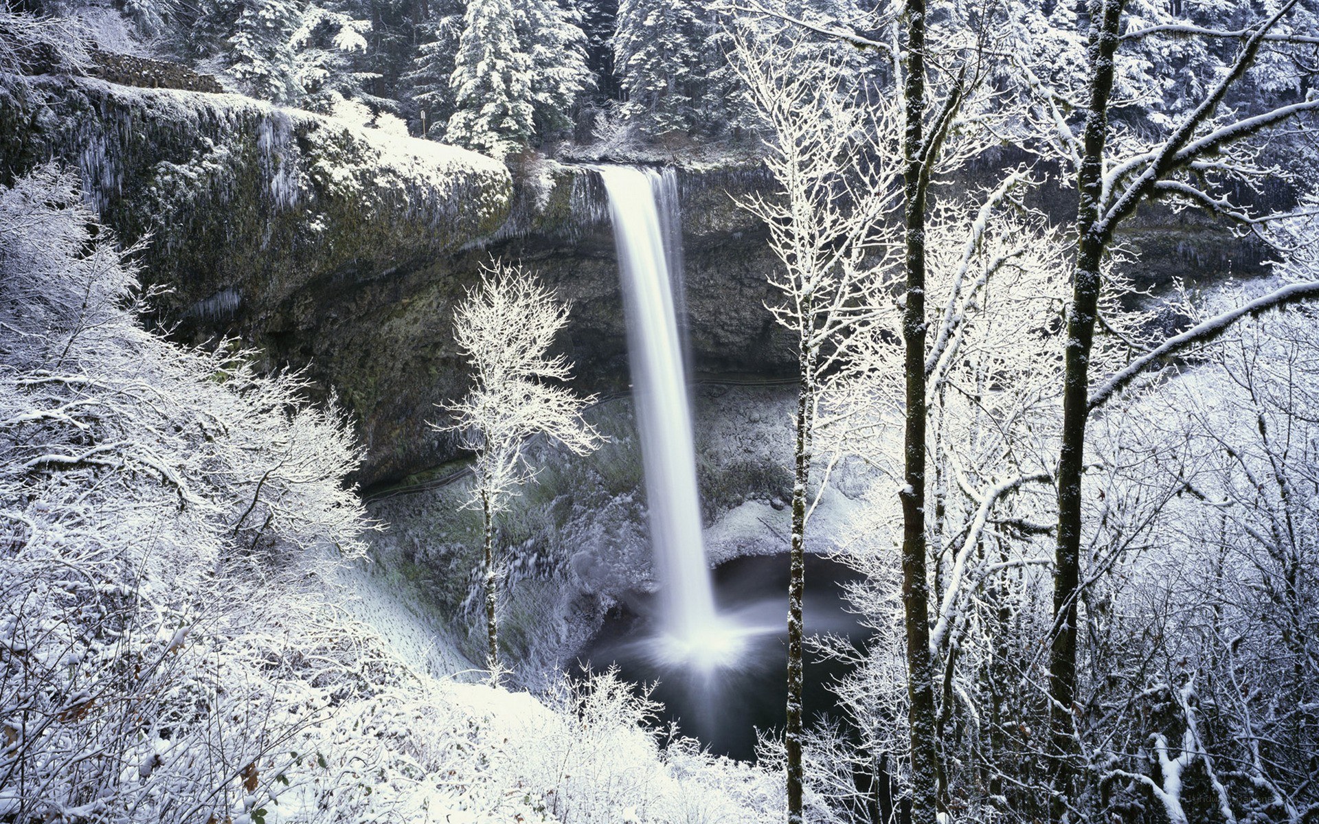 Snowy waterfall in forest