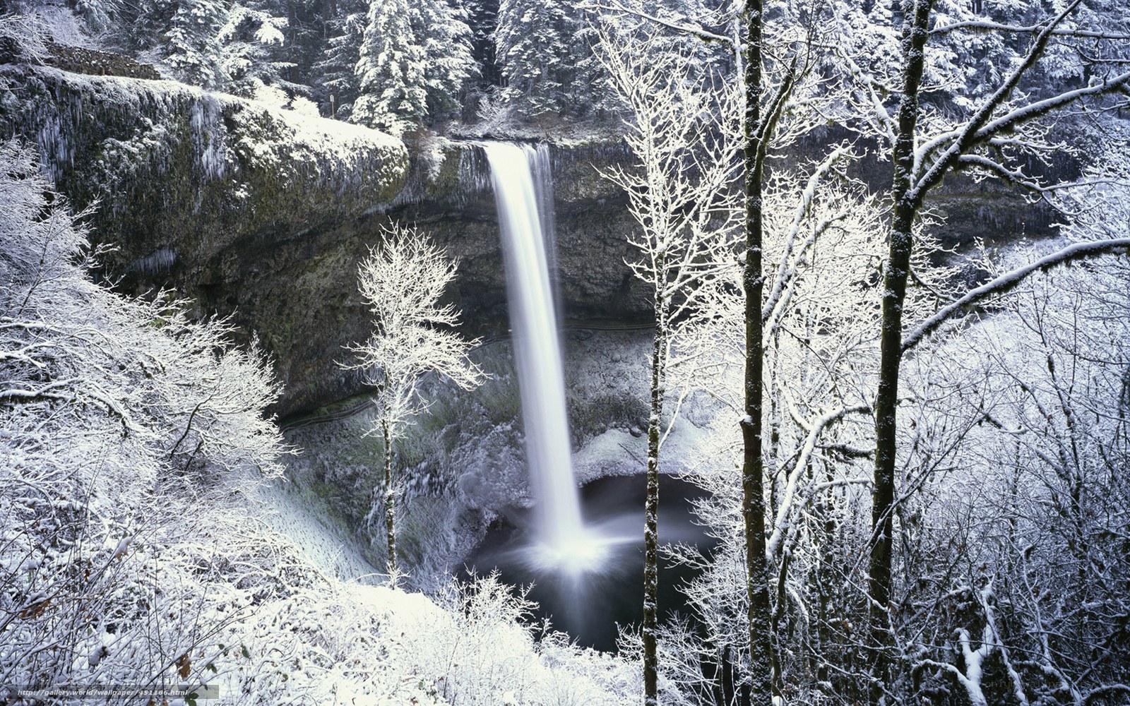 Snowy waterfall in forest