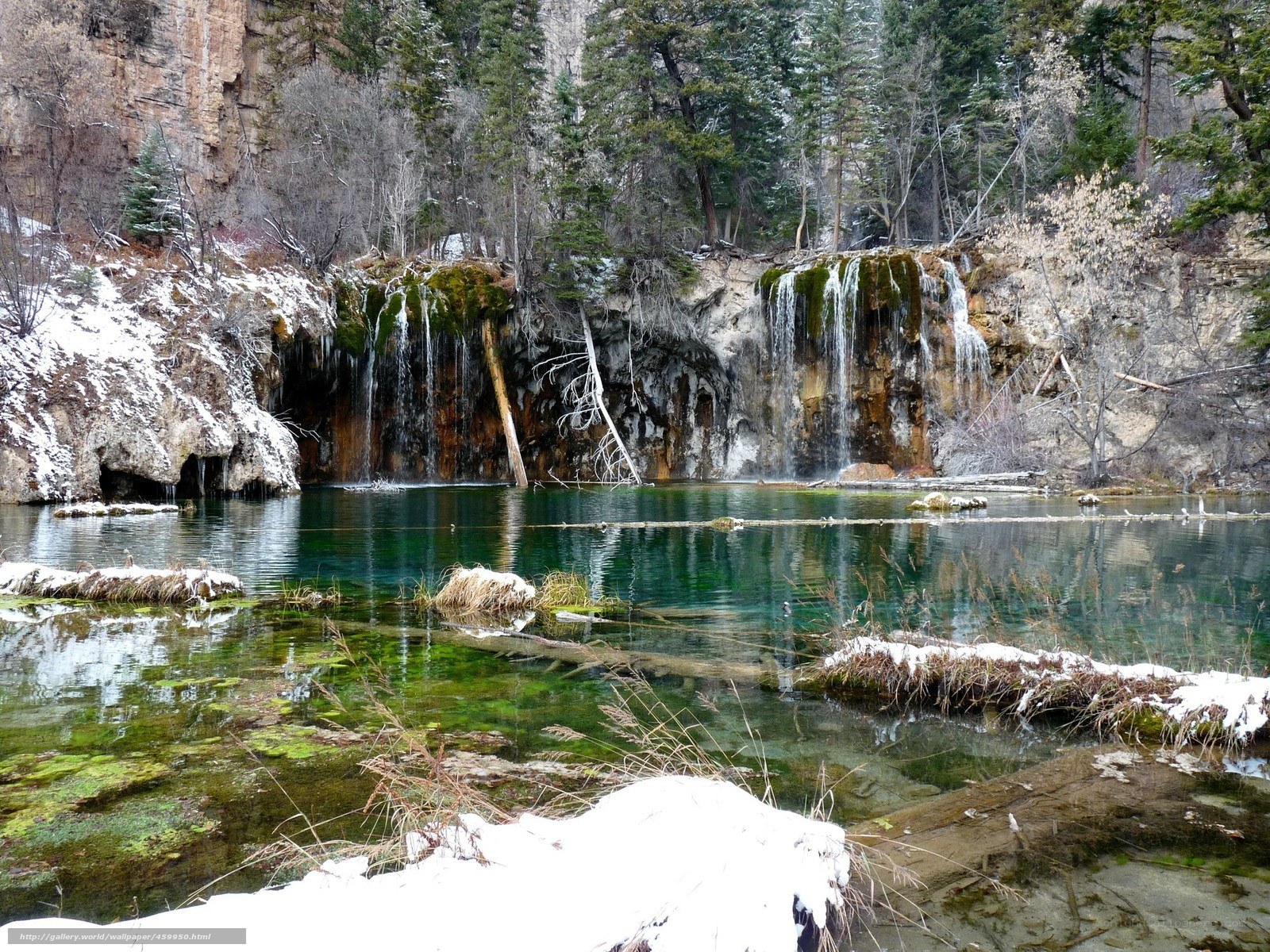 Snowy waterfall in forest