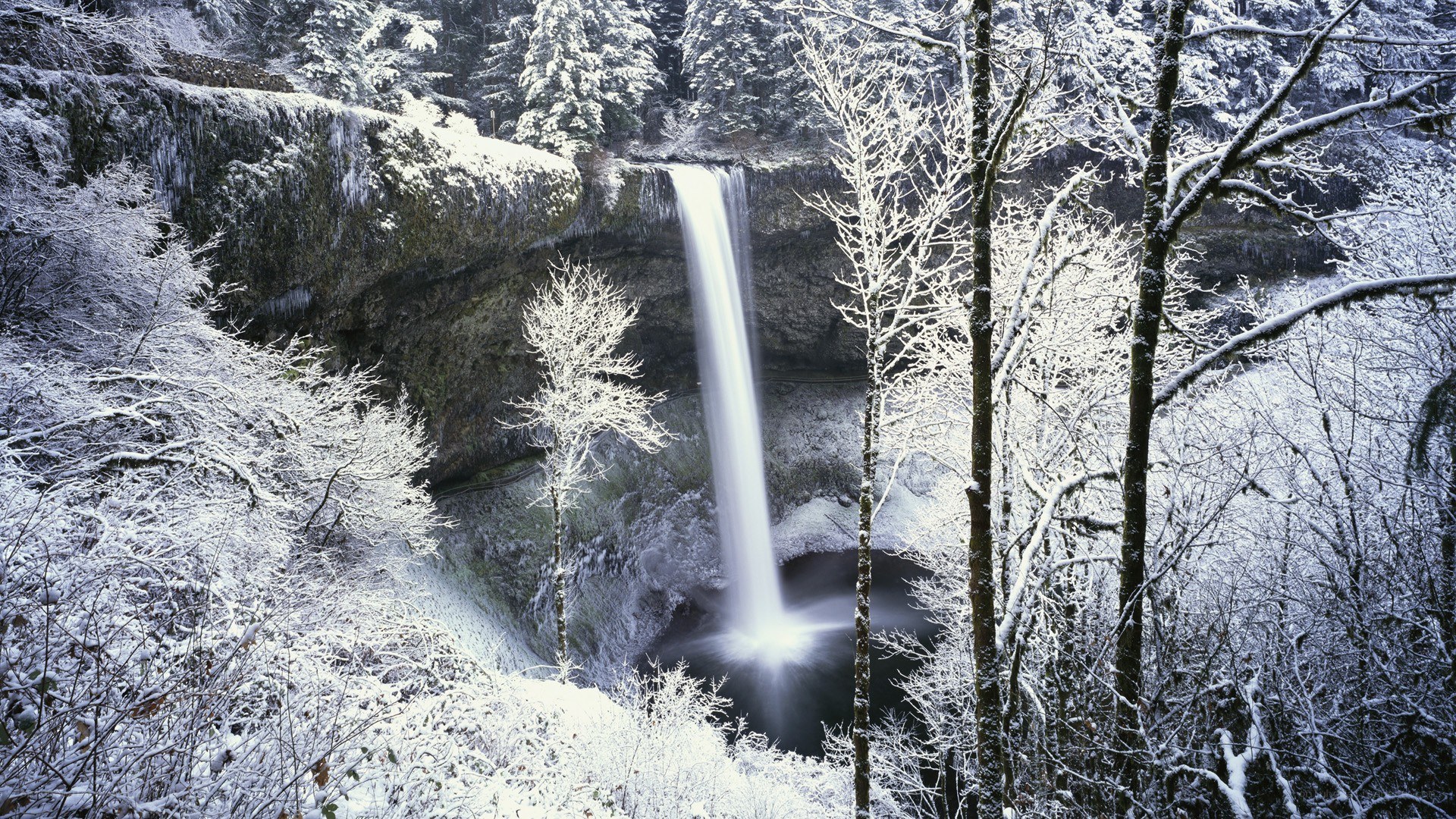 Snowy waterfall in forest