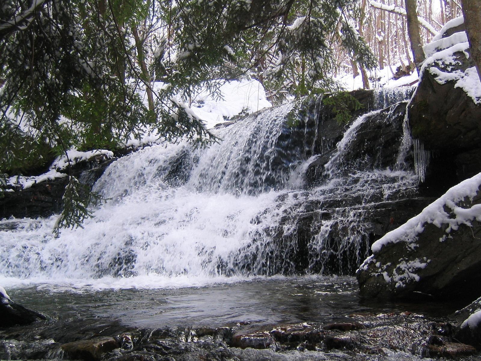 Snowy waterfall in forest