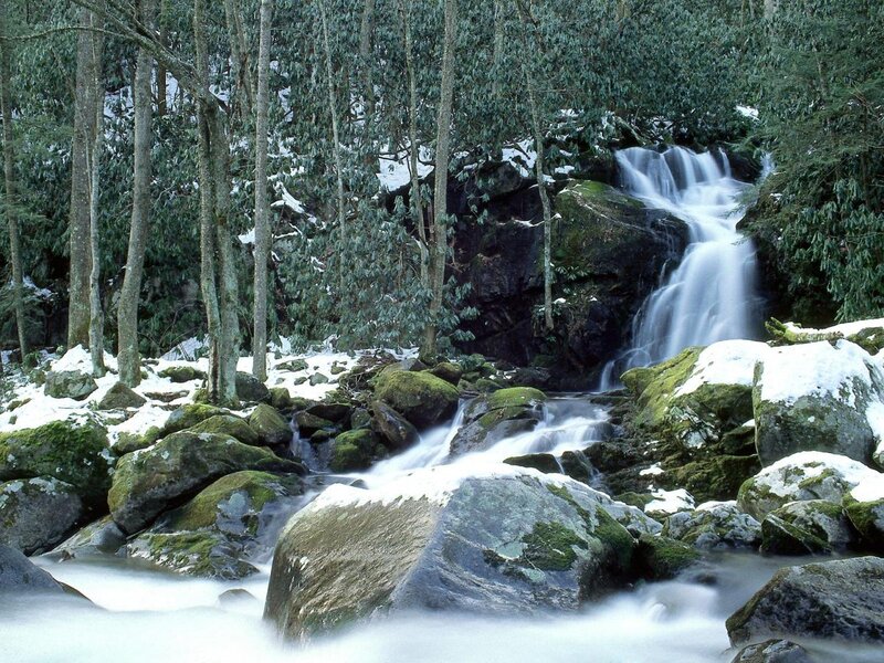 Snowy Waterfall in Forest — Green, Serene