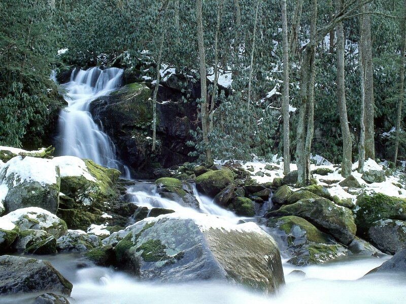 Snowy Waterfall in Forest — Green