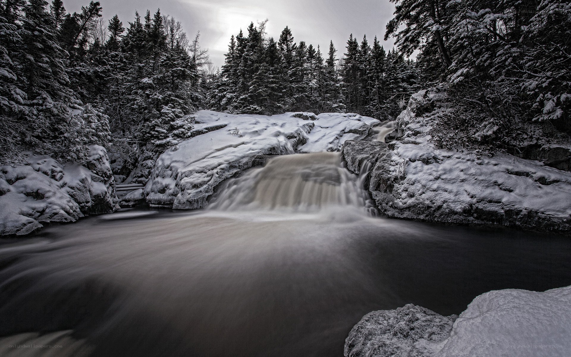 Snowy waterfall in winter forest