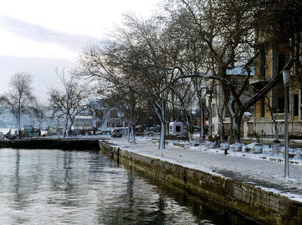 Snowy waterfront scene
