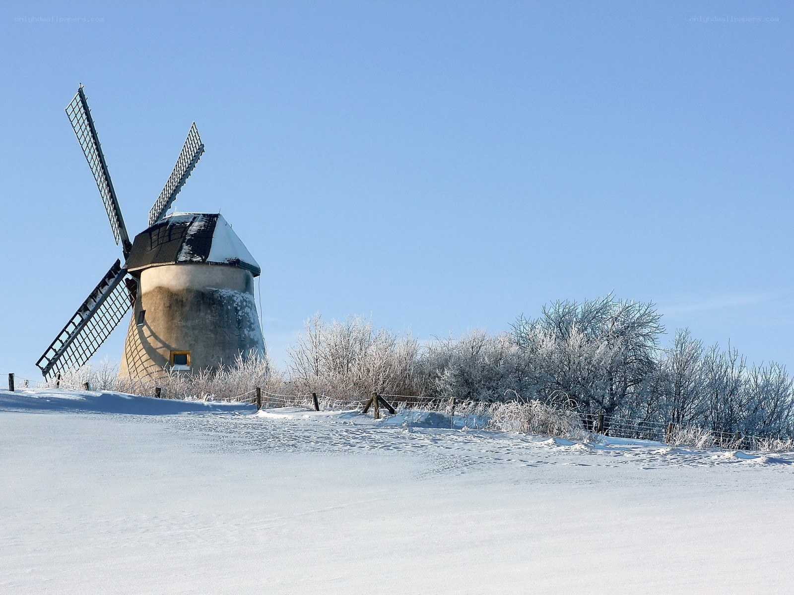 Snowy windmill in winter