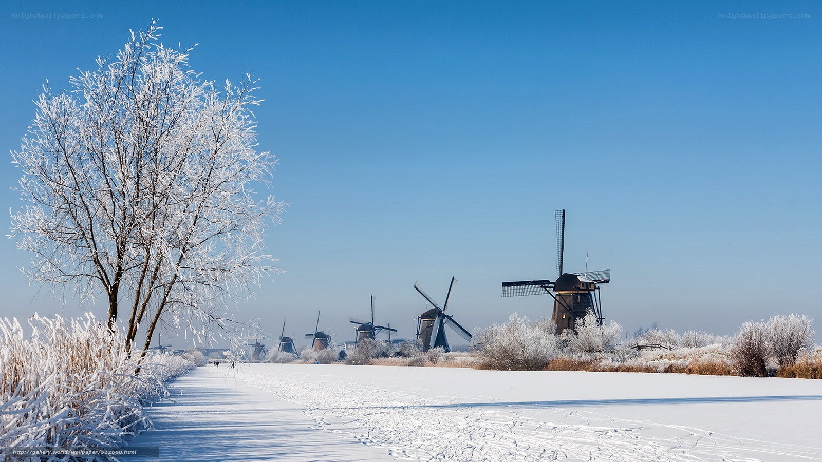 Snowy windmills in winter
