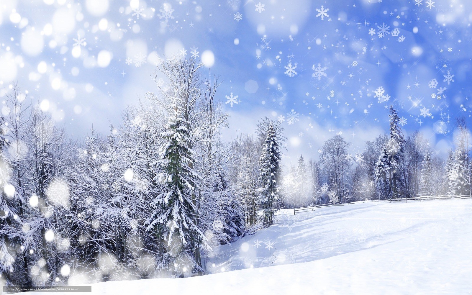Snowy winter forest landscape