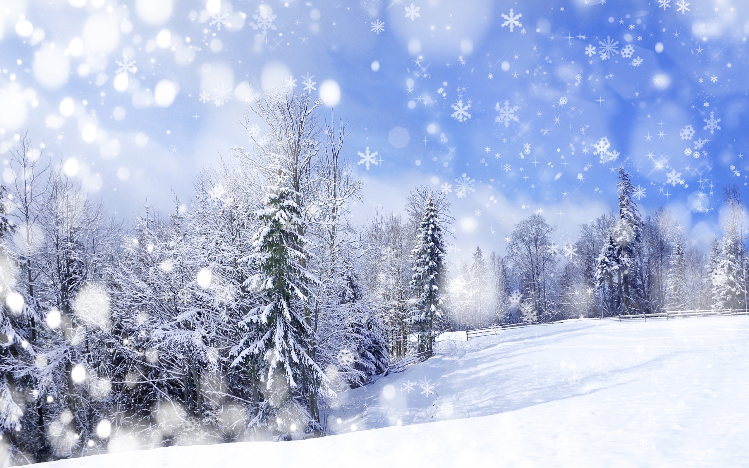 snowy winter forest scene