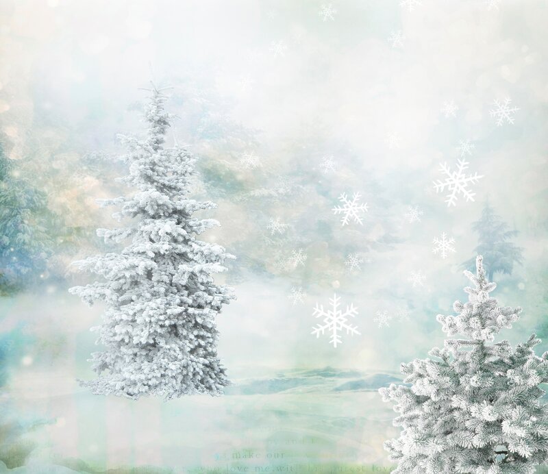 snowy winter forest scene