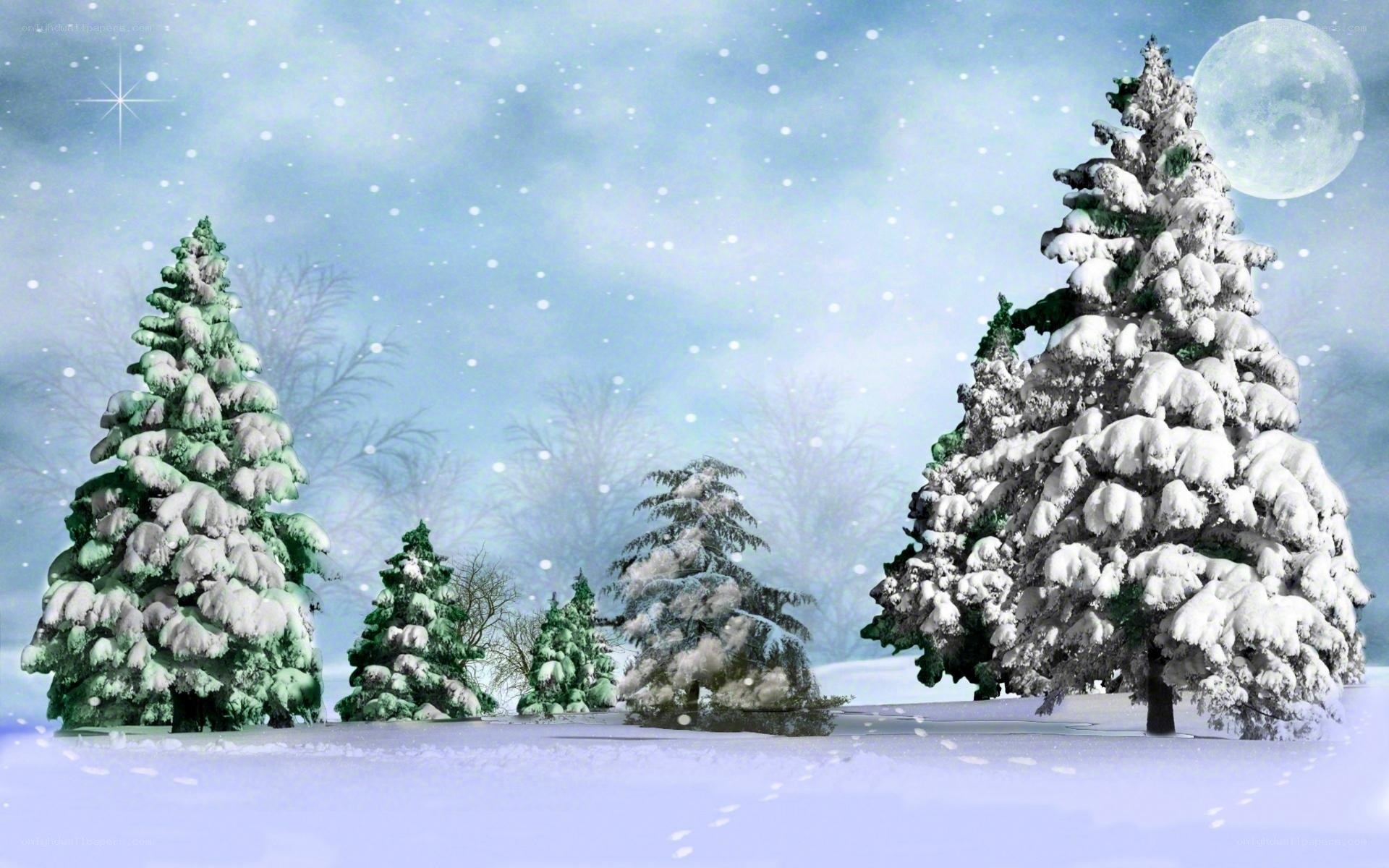 Snowy winter forest scene