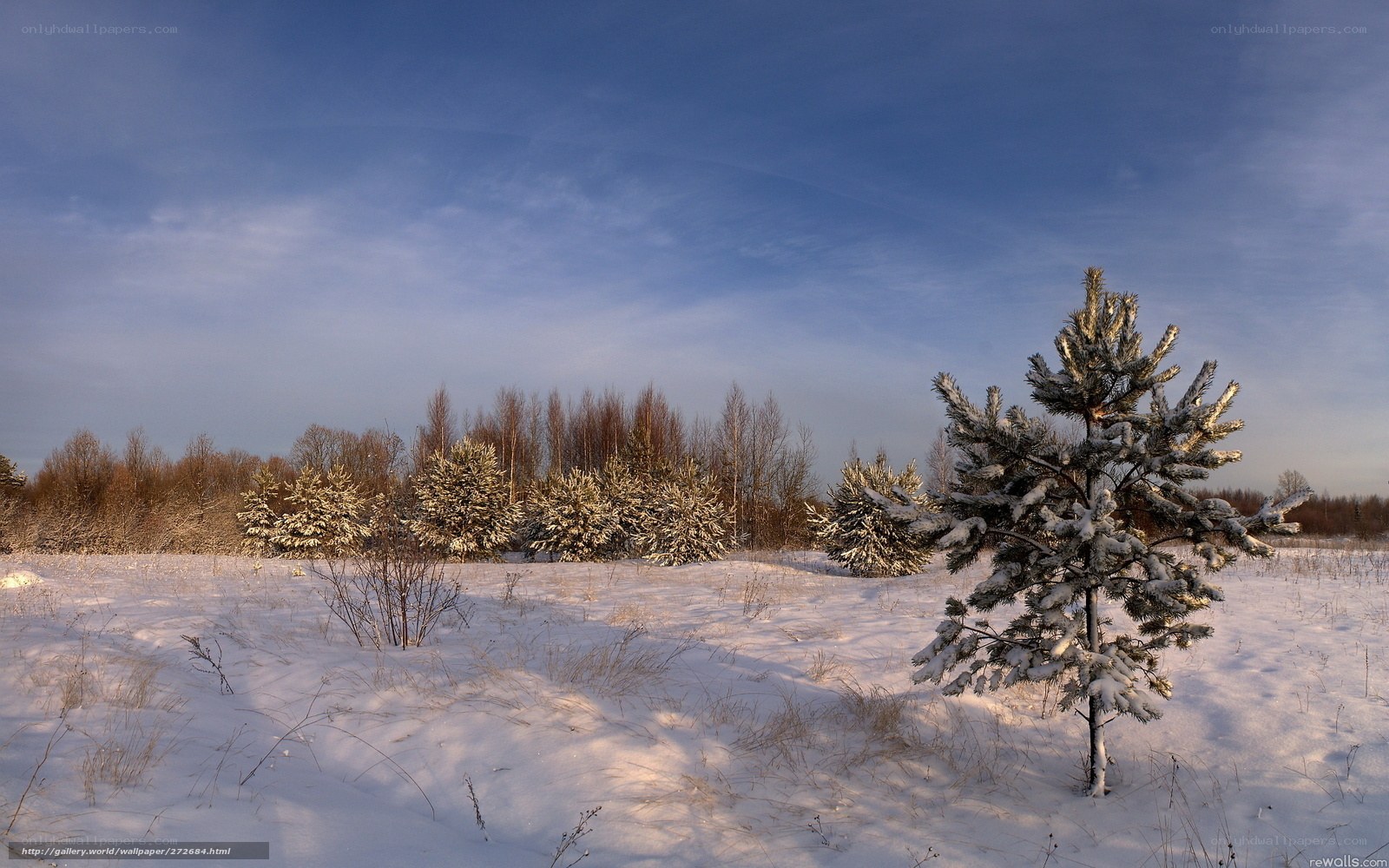 Snowy winter landscape