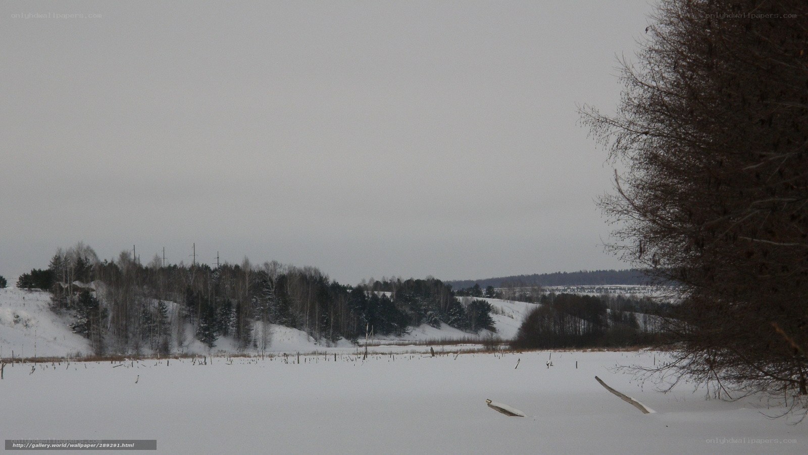 snowy winter landscape