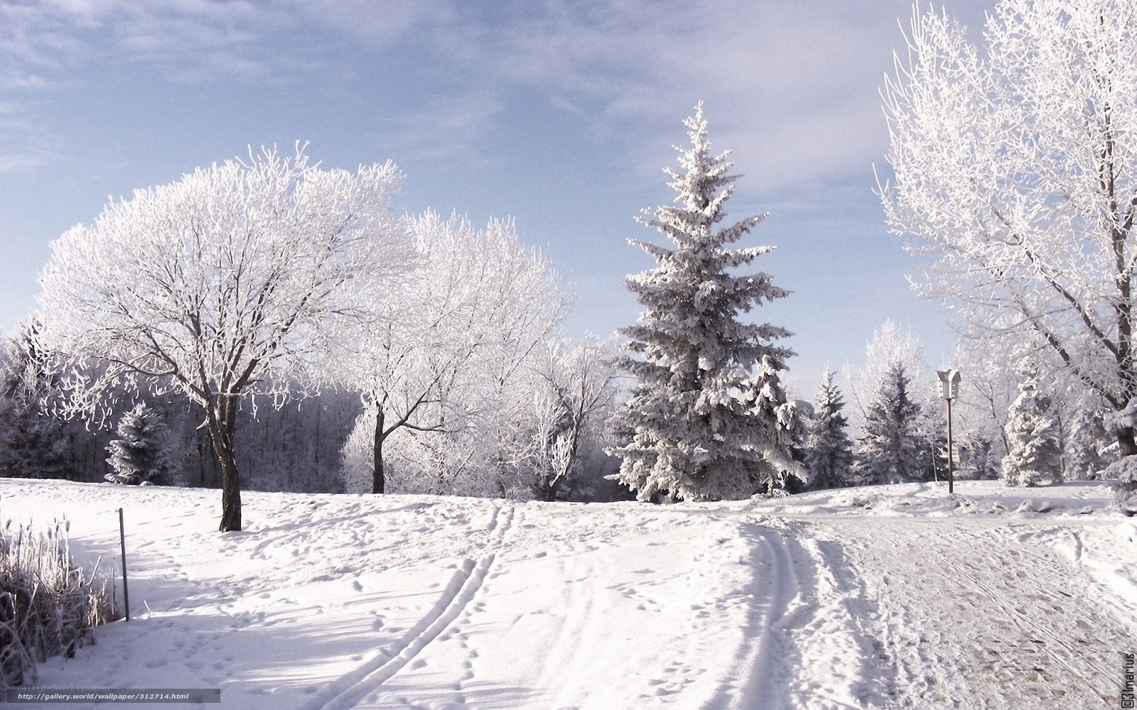 Snowy winter landscape