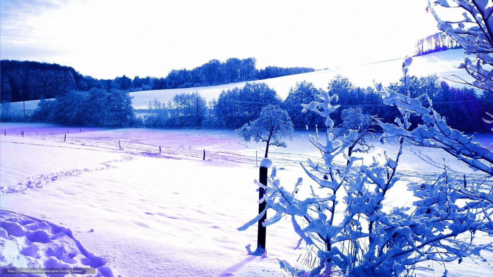 Snowy winter landscape