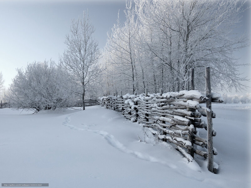 Snowy winter landscape