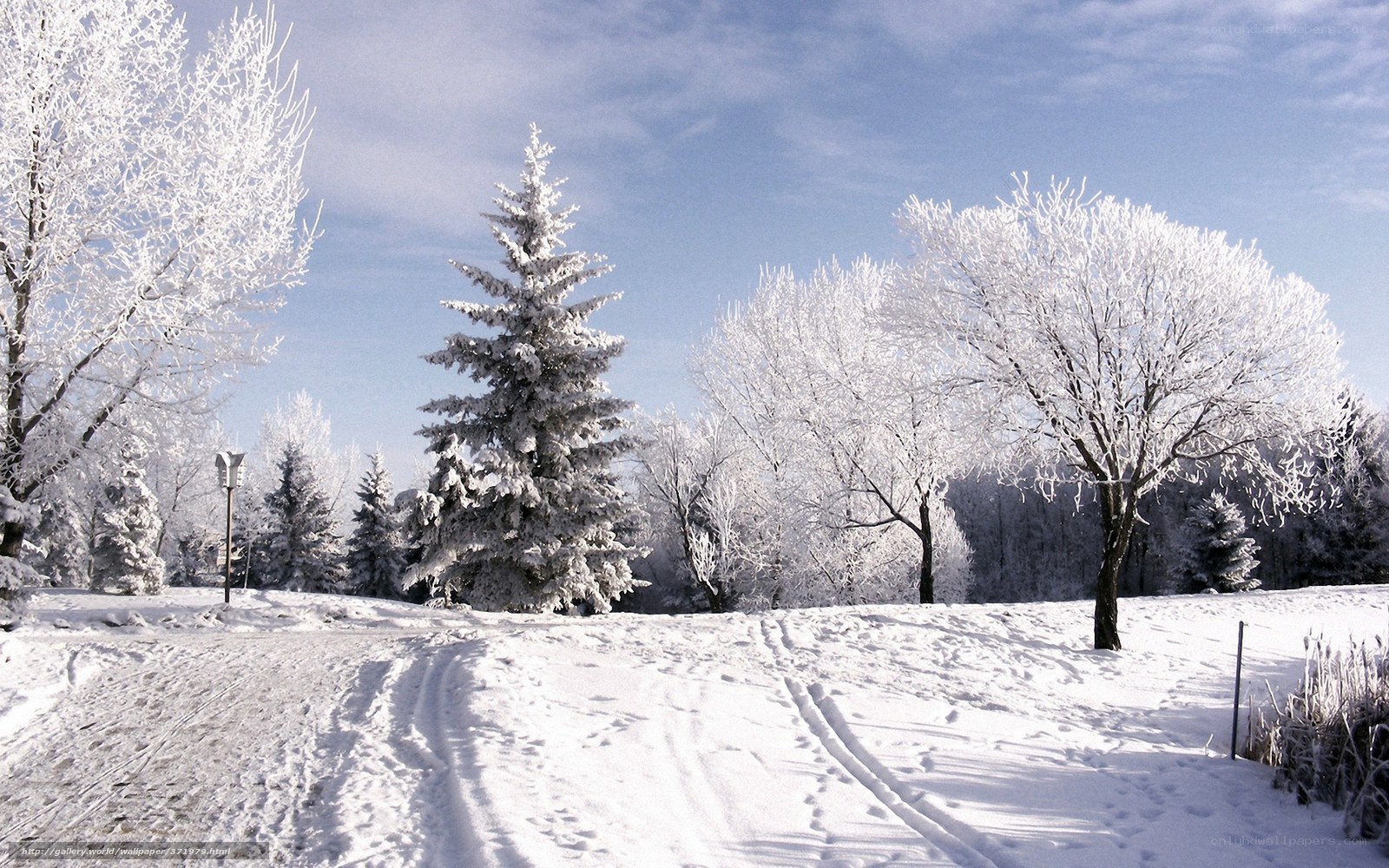 Snowy winter landscape