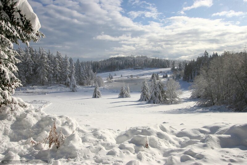 Snowy winter landscape