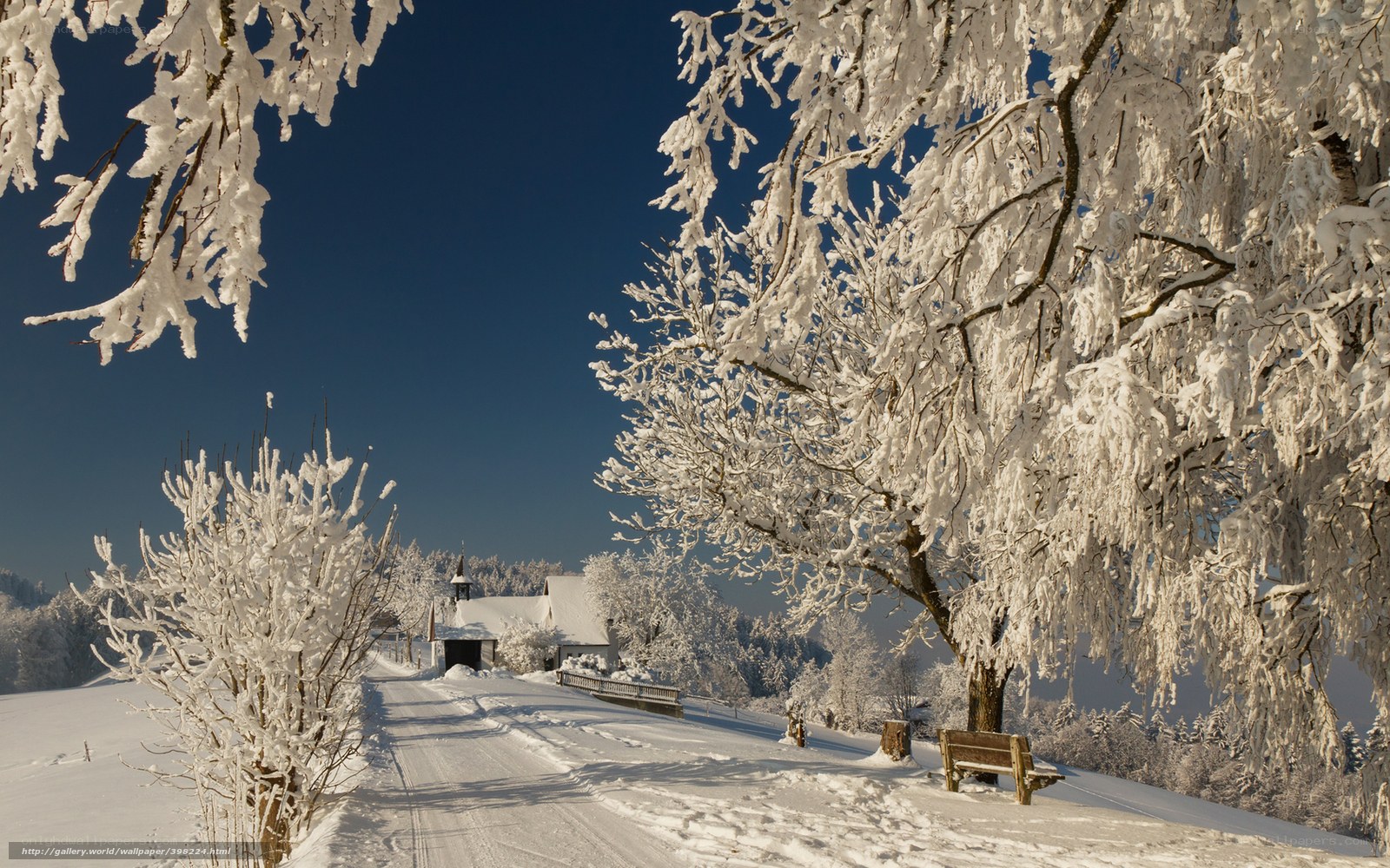 Snowy winter landscape