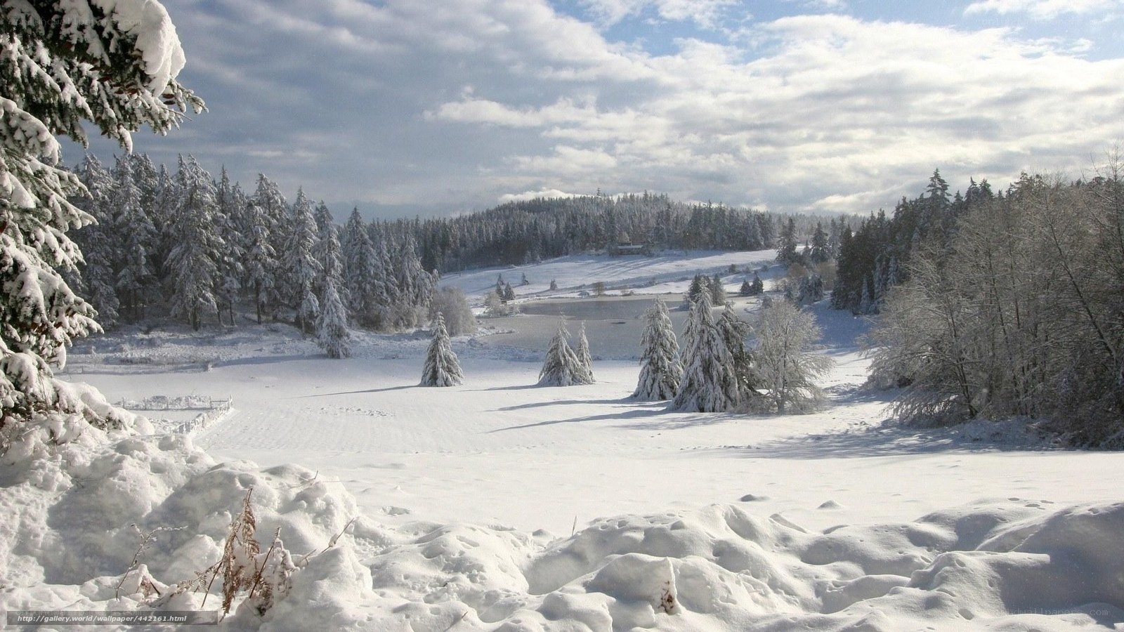 Snowy winter landscape